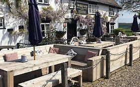 The Queen'S Head
